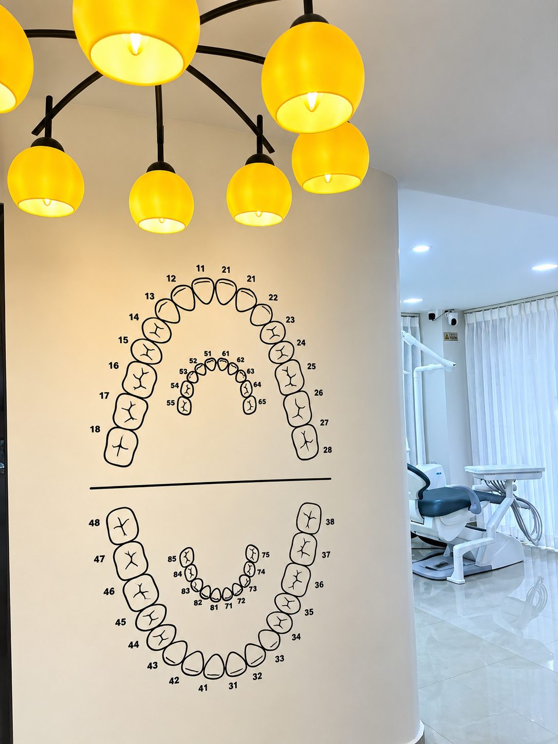 FDI Dental Chart Wall Art & Warm Chandelier